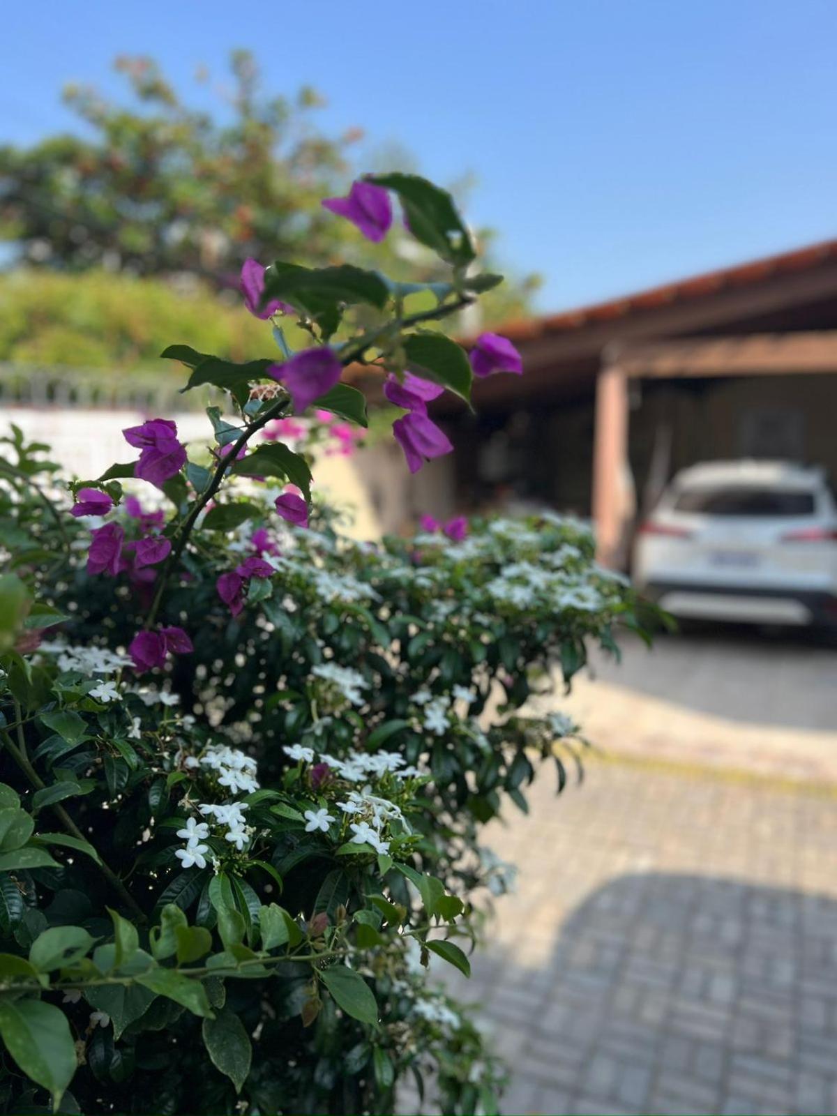 Pousada Flor Dalia Natal Exteriör bild